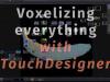 Voxelizing everything with TouchDesigner