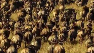 recursive displace in Touchdesigner