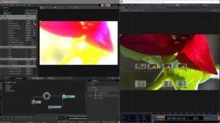 What’s the best starting point for Notch & Touchdesigner developers? – Notch Tutorial 2