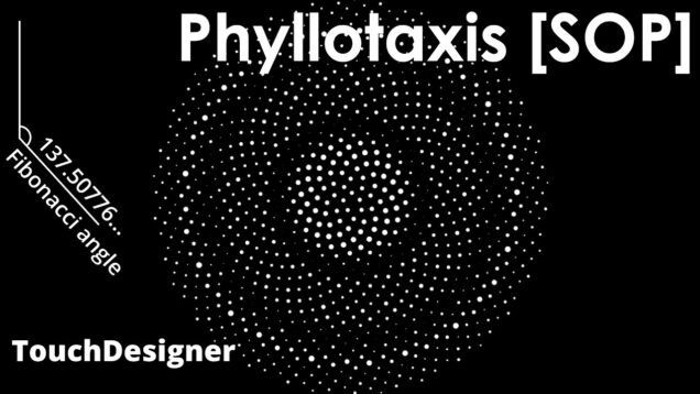 Phyllotaxis SOP | TouchDesigner