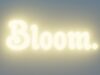 [TouchDesigner] OK Bloomer