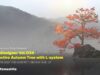 1/3 TouchDesigner Vol.034 Interactive Autumn Tree with L-system