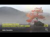 3/3 TouchDesigner Vol.034 Interactive Autumn Tree with L-system