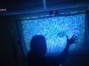 Interactive projection with gesture control ( Touchdesigner and Opencv)