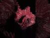 flesh  #musicvisualization #touchdesigner #vfx