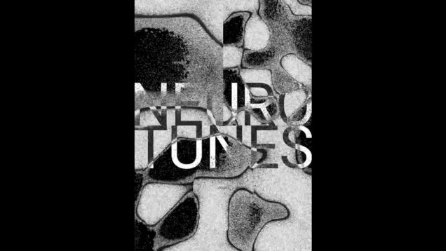 Reaction Diffusion | Touchdesigner | NeuroTunes Project 2 A+V+