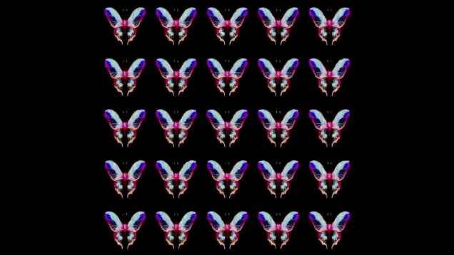 Butterfly winging video created by TouchDesigner