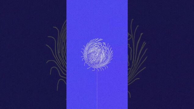 pasta flower  #musicvisualization #touchdesigner