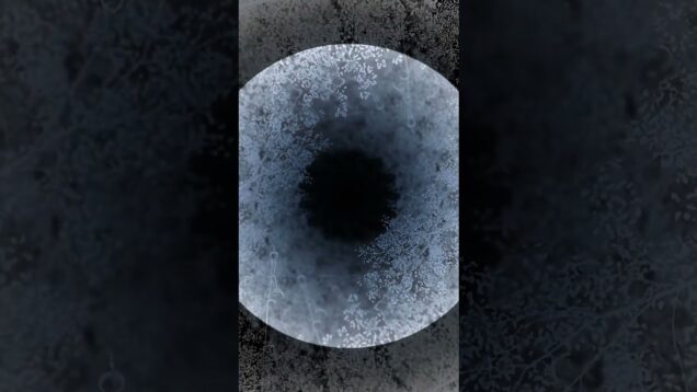 Eye | Audioreactive videoart by nkedrina | TouchDesigner