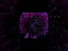 fllowers growing #generativeart #touchdesigner #satisfyingvideo #shorts