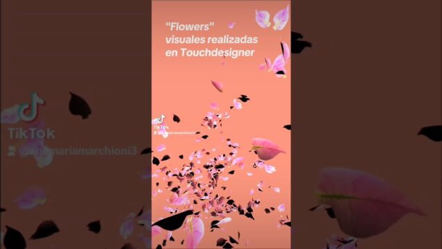 FLOWERS. Video realizado en Touchdesigner. #visuals#touchdesigner