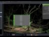Making of OVERTHROWN (3D photogrammetry renders of trees in Touchdesigner)