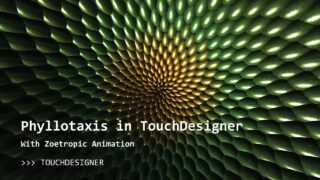 Modelling Phyllotaxis and Zoetropes in TouchDesigner