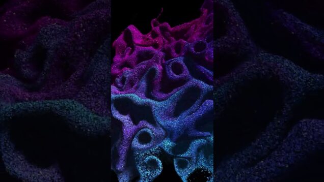 Particles GLSL with TouchDesigner #animation #art #touchdesigner #glsl #premierepro