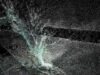 Touchdesigner project: Photogrammetry scans of dying trees modulated by climate change data