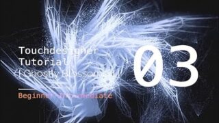 [Beginner-Intermediate] Touchdesigner Tutorial03: Ghostly Blossomed