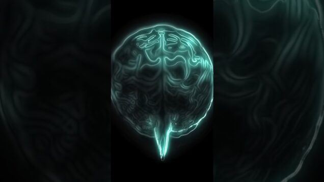 Brain Mri – Realtime Touchdesigner w/ Stable Diffusion – #creativecoding #generativeart