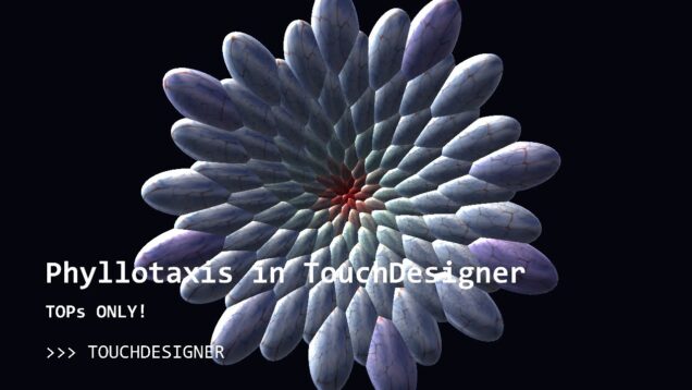 Phyllotaxis in TouchDesigner, no GLSL!