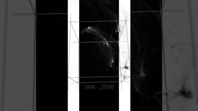 harm – _stition #dnb #drumandbass #touchdesigner #computerart  #dnbproducer #dj #art