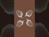 retro flower  #touchdesigner #art #musicvisualization