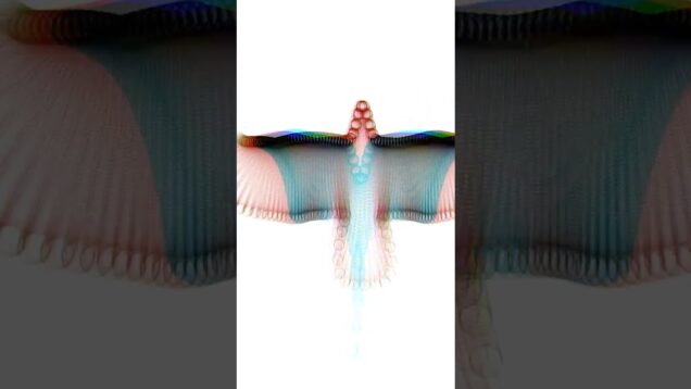 Parametric Bird visualization #touchdesigner #shorts