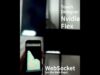 Touchdesigner WebSocket! (on the web page)