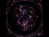 [AVFX] Quantum strings blackhole  #touchdesigner #avcivfx