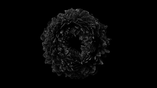 BLACK FLOWER | Hypnotic Techno Visuals | 4K Generative Art Created in TouchDesigner