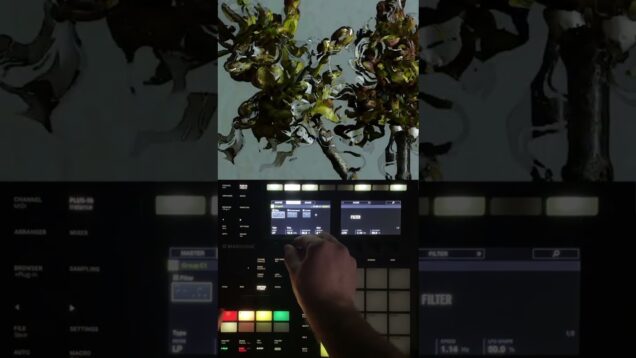 Maschine x Touchdesigner