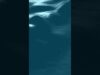 Ocean Simulation | #touchdesigner