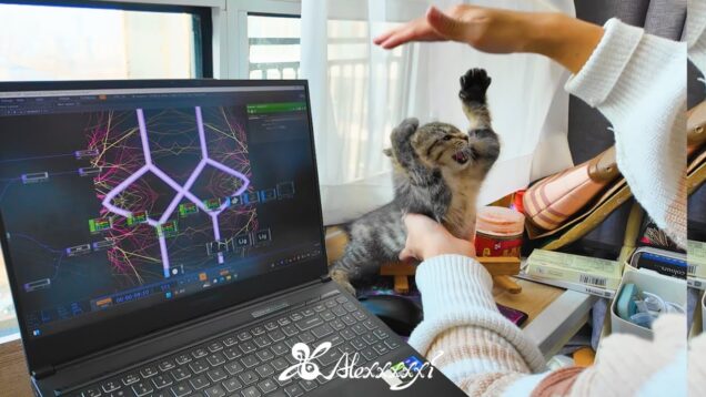 This is how I create touchdesigner works with my cat every day