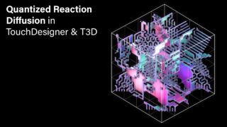 Quantized Reaction Diffusion in TouchDesigner & T3D