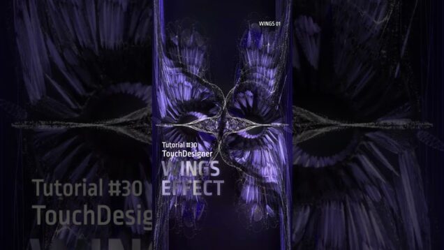 #Wings  #touchdesigner #tutorial