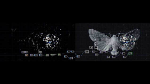 Moths (Touchdesigner Visuals Assignment 2)