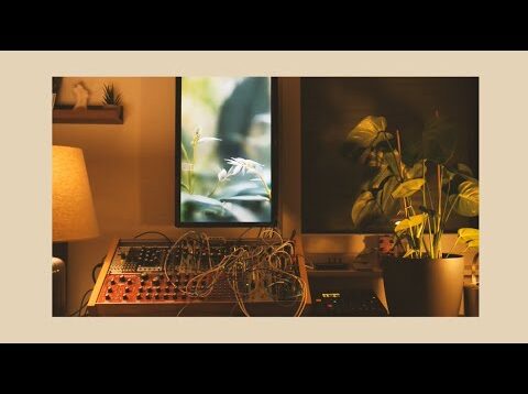 🌱 Steady Tones in Nature 🌱 | A Eurorack Ambient Jam | Touchdesigner AI Visuals