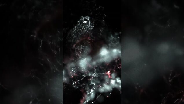 All I had might have been yours .F #cinematic #touchdesignercommunity #touchdesigner
