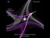 Bochka, bas #touchdesigner #audioreactive #visual #generate #art #creative #aezakmi #design