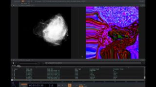 Custom presets in TouchDesigner – slime mold simulation