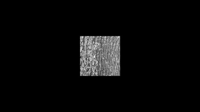 How I Built Audio-Reactive Visuals for "Asking to Break" | TouchDesigner Network Breakdown