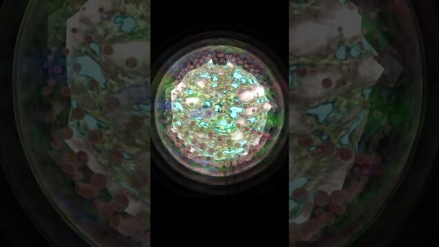 In the aftermath of an orbital war #touchdesigner #Audio #Reactive #space #scifi #brickmoon