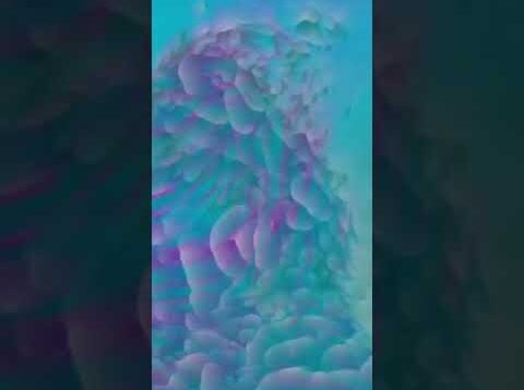 repost generate.collective