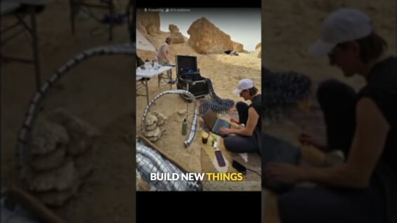 TouchDesigner Meetup – Into the Wild