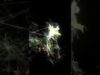 Trillium ☘️ #newmusic #touchdesigner #glitch #colorbass #ableton #abletonlive #botanica #edm #idm