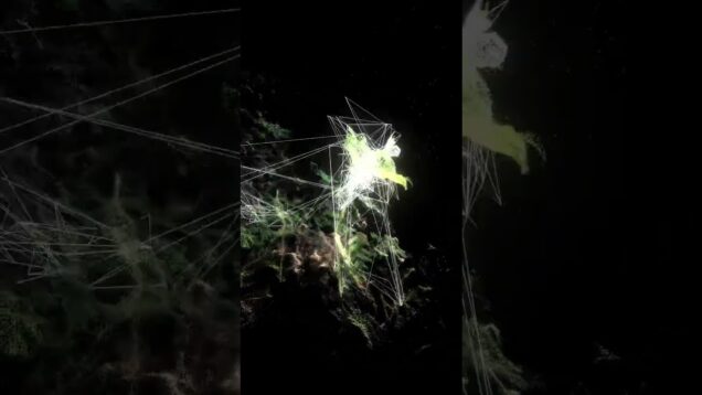Trillium ☘️ #newmusic #touchdesigner #glitch #colorbass #ableton #abletonlive #botanica #edm #idm