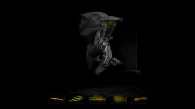 X-Ray Hunting / TouchDesigner Generative / Main – IX