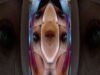 03 Ohligser Heide by mon0 #deepelectronic #touchdesigner