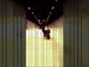 12 Is This Insanity ft  the Spaceape by Martyn  #touchdesigner #bassmusic