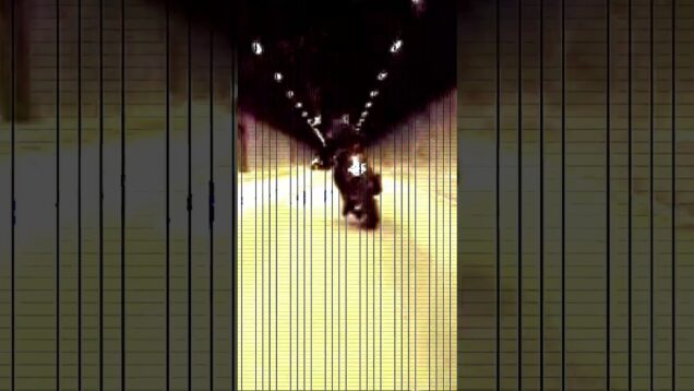 12 Is This Insanity ft  the Spaceape by Martyn  #touchdesigner #bassmusic