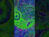18 Orgasmic Reflux by Mind Safari  #touchdesigner