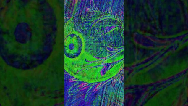 18 Orgasmic Reflux by Mind Safari  #touchdesigner